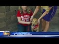 Adopt a Pet: Lacey from The Little Red Dog Rescue