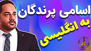 اسامی پرندگان به انگلیسی | آموزش زبان انگلیسی از اول