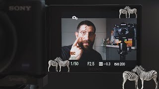 Sony ZV-1: how to use ZEBRAS to expose your videos