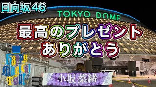 【日向坂46】今年最後のライブ最高すぎた！