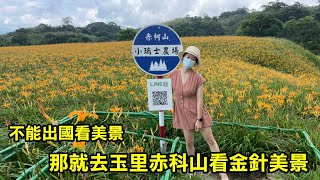 【務農夫婦】第224篇【不能出國看美景，那就到玉里赤科山看金針美景】