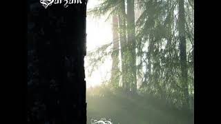 Burzum - Glemselens Elv (432hz)