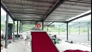 Chili pepper drying machine is a professional large-scale machine for drying fresh pepper.