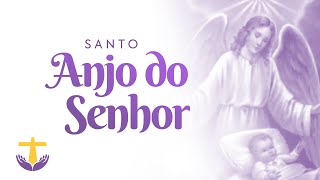 SANTO ANJO DO SENHOR - MEU ZELOSO GUARDADOR