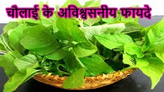 चौलाई के अविश्वसनीय फायदे | Health benefits of Amaranth