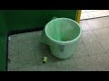 איך לזרוק תפוח לפח how to throw an apple to the garbage