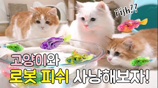 고양이와 로봇 피쉬 장난감 사냥 놀이를 해보자! - Cats React to Robotic Fish