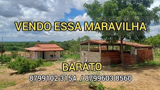 VENDO LINDO SITIO BOM E BARATO 8799102 3154  / 8799603 8560