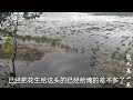 河南南阳暴雨下了一夜，地里庄稼被淹了，农民今年太难了！