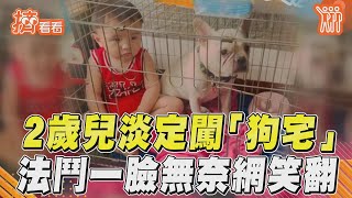 2歲兒淡定闖「狗宅」　法鬥一臉無奈網笑翻｜TVBS新聞｜擠看看