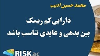 دارایی کم ریسک بین بدهی و عایدی تناسب باشد