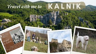 Old town Veliki Kalnik/Lagotto Adventure: Nature, Fun \u0026 Truffle Hunting!