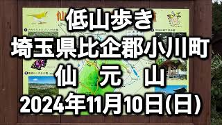 【東武東上線小川町駅から低山歩き】仙元山　2024年11月10日(日)