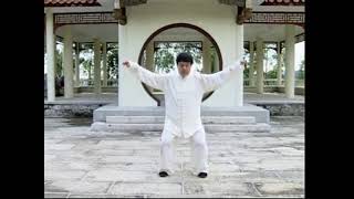 Original Yang Taijiquan SongGong (not Huang's!)