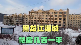 黑龙江这个城市的房价堪比鹤岗，楼房几百一平，三万就能拎包入住【东北小萌】