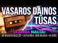 Geriausi 90-ųjų Lietuviški Šokių Hitai – Vasaros Tūsas #4 | AI muzika 2026