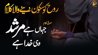 New Urdu Sufi Kalam 2023 Jahan Hai Murshid Wahi Khuda Hai | Sami Kanwal | Fsee Production