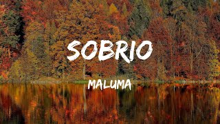 Maluma - Sobrio (Lyrics/Letra)