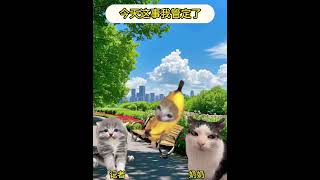 今天这事我管定了 #猫meme #猫meme小剧场 #shorts