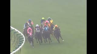 カレンチャン 2010年 潮騒特別(3歳以上1000万下) (優勝馬：カレンチャン) (実況：ラジオNIKKEI)