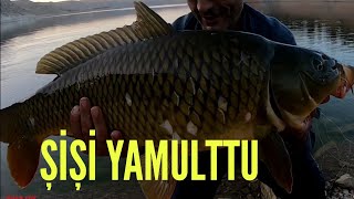 Oltaları Birbirine Kattı, Sazan Balığı Avı, Keban Barajı Balık Avı, Carp Fishing