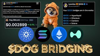 $DOG (Bitcoin) Multi-chain Capital Inflow Effects \u0026 FUD Debunked