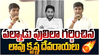 పల్నాడు పులిలా గర్జించిన లావు కృష్ణ దేవరాయలు!! MP Lavu Sri Krishna Devarayalu Superb Speech | CBN