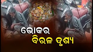 ଭୋକର ବିରଳ ଦୃଶ୍ୟ   #News6odia