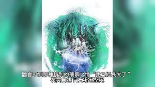 {完美世界} 491~495章 有聲字幕小說