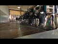 Wisconsin Dairy Farm Tour