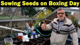 Boxing day | Traditional Onion Sowing | Sowing Onion Seeds At Home | Green Side Up