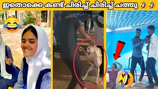 നമുക്ക് ചുറ്റും നടന്ന ഈ സംഭവങ്ങളൊക്കെ കണ്ട് ചിരിച്ച് ചിരിച്ച് മടുത്തു 🤣🤣| funniest moments