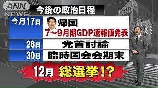 なぜ解散？来年の「支持率低下させるメニュー」前に(14/11/11)