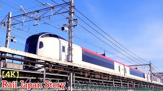 E259 Series NARITA Express, airport access train, crossing the Tama river, Kawasaki | Train Japan