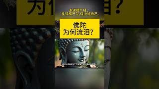 佛魔之战从未息！！！魔王对佛陀说了什么，所以佛陀为何流泪？大家多多转发这个视频，功德无量！#慈悲佛陀#觉醒 #智慧#末法时期#天选之人