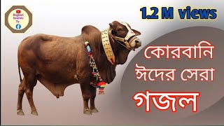 কুরবানির দিন আমাদের গরু জবাই 🐂🐂🐂🐂🐃🐃🐫🐪🐐