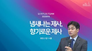 [실시간] 일산방주교회 주일예배 22.09.18 '냄새나는 제사, 향기로운 제사'