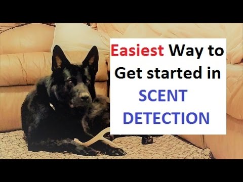 How to Train a Dog to Find ANY scent (K9-1.com) How to Train a Dog to Find ANY scent (K9-1.com)