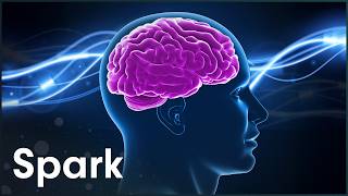 What Happens To Us When We Sleep?