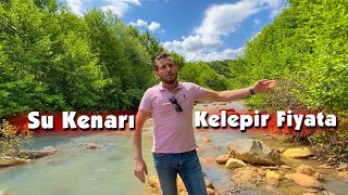 Akar Su Kenarı~ 4.250m2 Arazi~Kelepir Fiyata ~Bol Sulu 18.000₺{Satıldı }