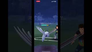 【ポケモンGO】Sカイリューvs追いのエアームド　#ポケモンGO #スーパーリーグ #Sカイリュー