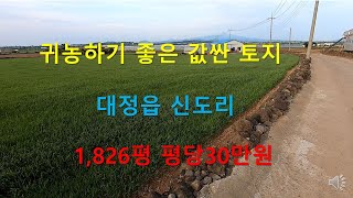 [제주빠빠] 제주도에 귀농하기 좋은 값싼 토지｜ 대정읍 신도리｜ 1,826평 평당30만원 ☎010 3318 5088