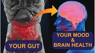 How Your Gut Affects Your Brain