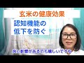 玄米を食べるとどうなる？？知らないともったいない健康効果【看護師が解説します】