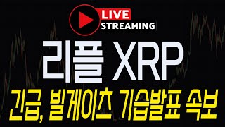 [리플 XRP] LIVE 긴급속보! \