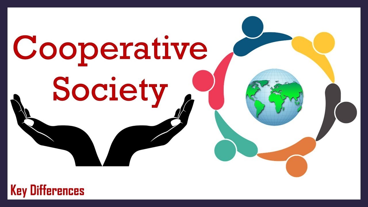 What Is Cooperative Society? Meaning, Characteristics, Types And ...