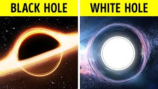Everything We Know About Black Holes and Many More Cool Facts.