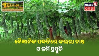 Annadata I ବୈଜ୍ଞାନିକ ପଦ୍ଧତିରେ କଲରା ଚାଷ (Bitter gourd Agriculture)