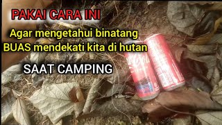 CAMPING DI HUTAN : PAKAI CARA INI BIAR AMAN DARI HEWAN BUAS