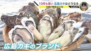 異例の猛暑で “冬の味覚” にも異変「我慢して良くなってから」水揚げ解禁を3週間延期「春までおいしい」広島カキ